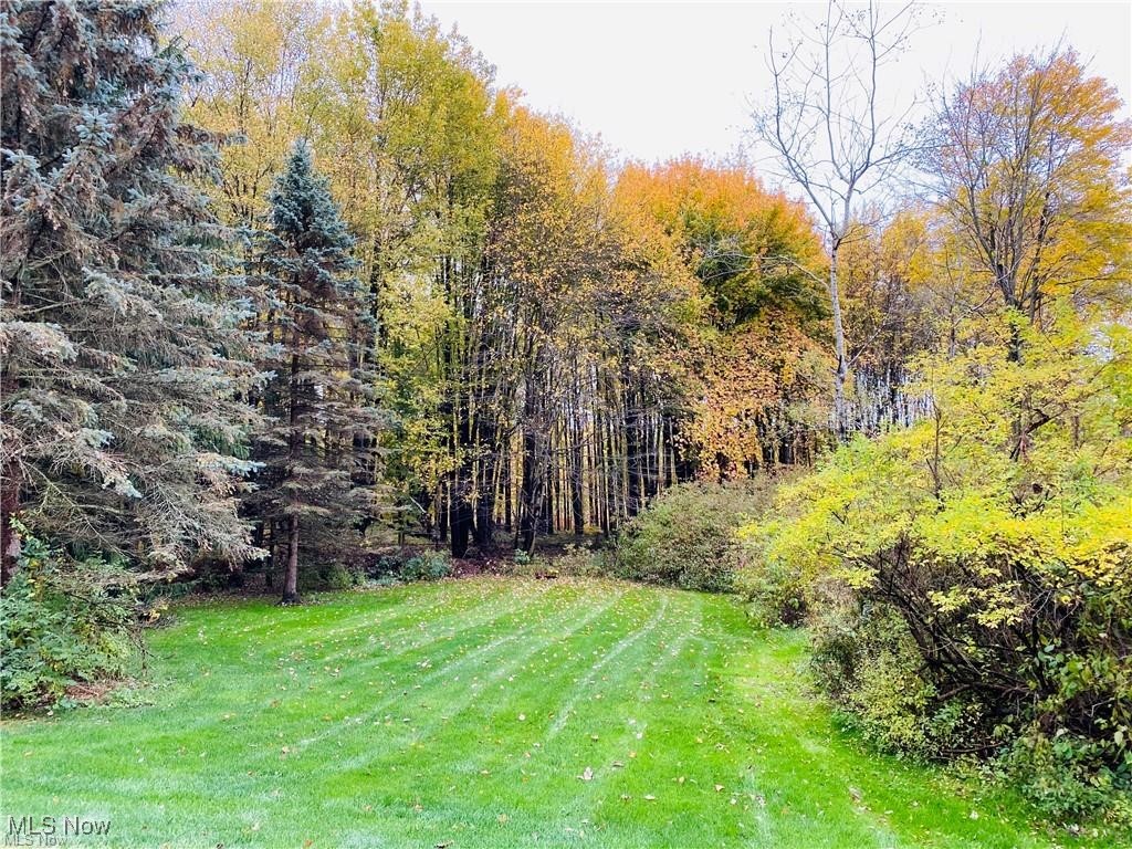 Wooded yard with a broad lawn and colorful autumn foliage.
