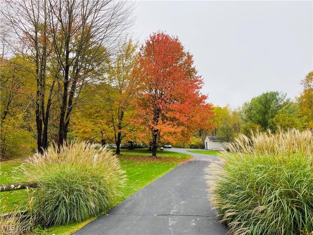 Curving driveway framed by ornamental grasses and colorful autumn trees, leading toward a small outbuilding.
