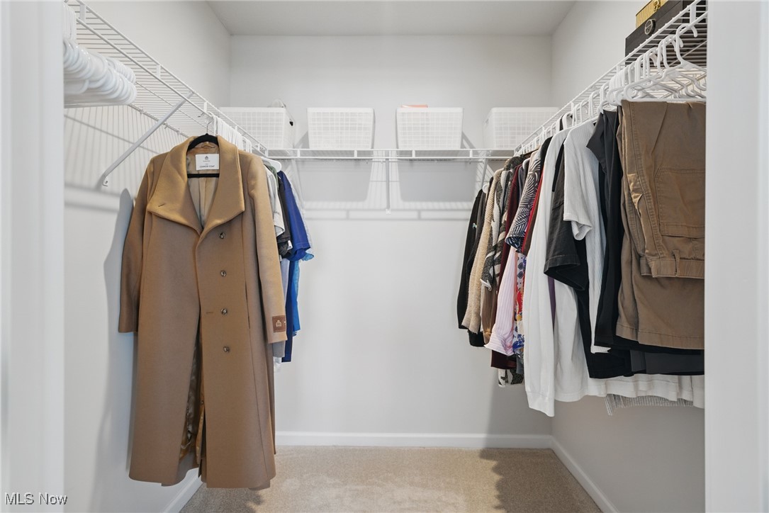 Walk-in closet with clothes on both sides, white wire shelving, and beige carpet.