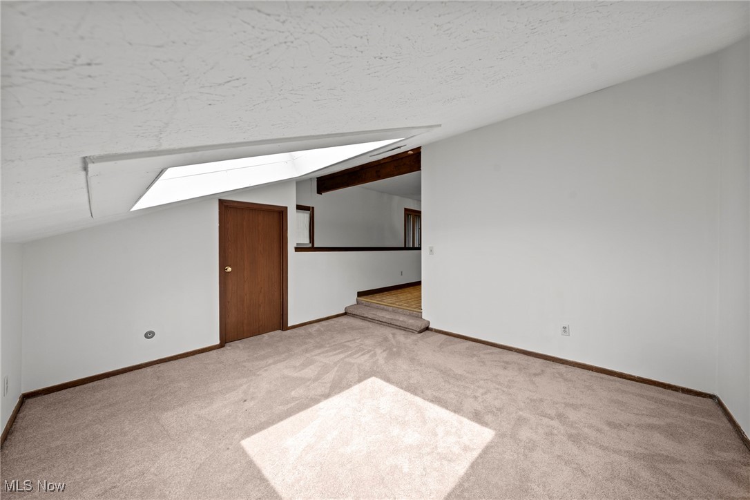 Empty carpeted bonus room with a sloped ceiling, skylight, and steps to an adjoining area.