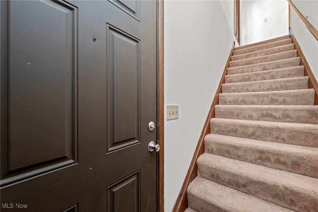 Entryway with a dark paneled door beside a carpeted staircase.