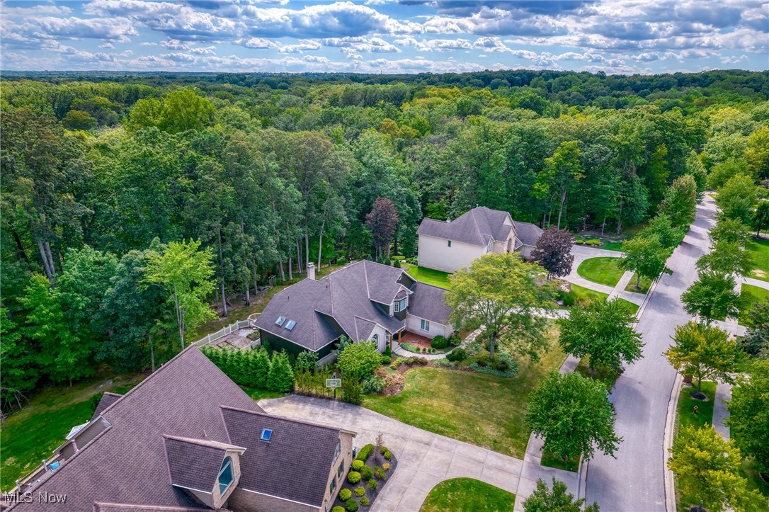 Aerial view of a home beside dense woods, with a broad driveway and tree-lined street.