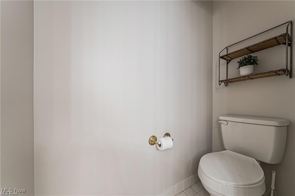 Bathroom toilet beneath a wall shelf with a potted plant and brass toilet-paper holder.