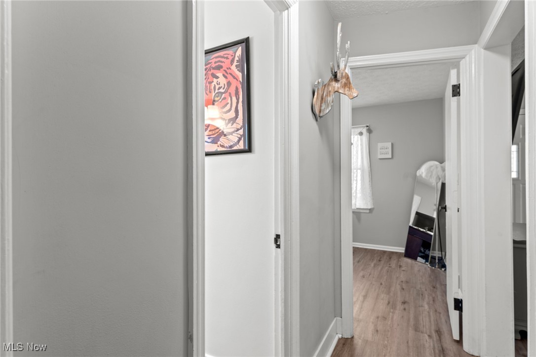 Hallway leading into a room, with wood-look flooring, framed tiger artwork, and a mounted deer-head decoration.