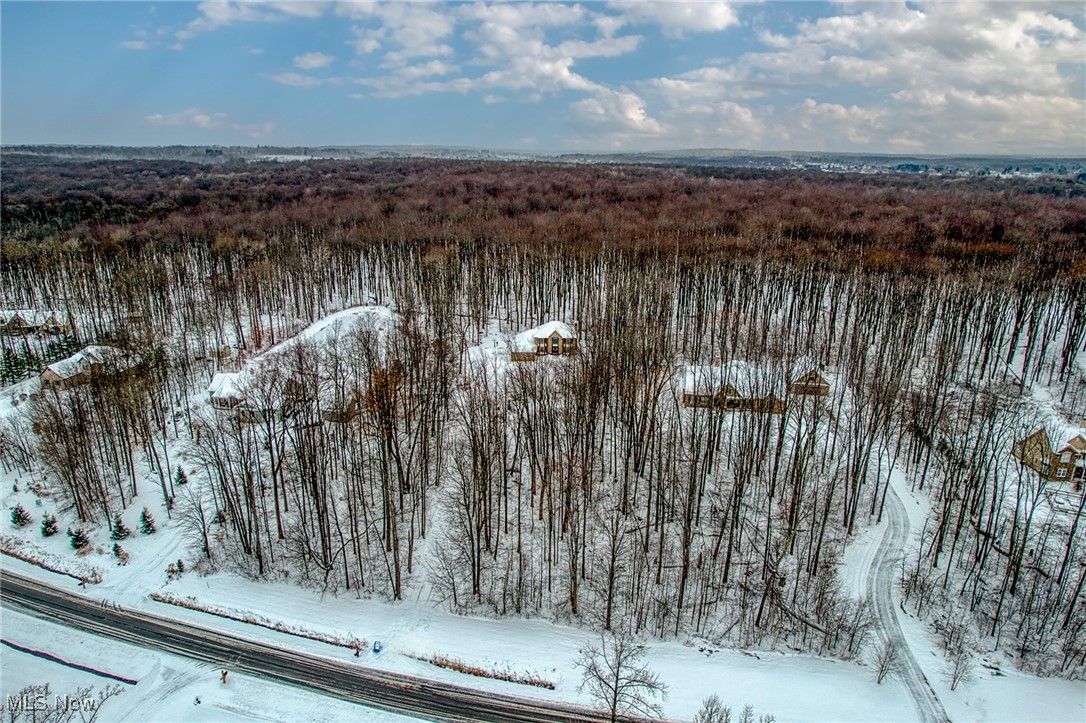 Snow-covered wooded property and scattered homes viewed aerially beside a road.