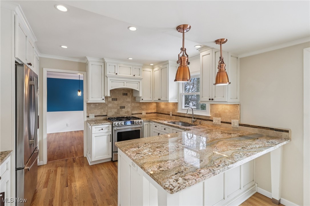 33630 Carriage Park Drive
