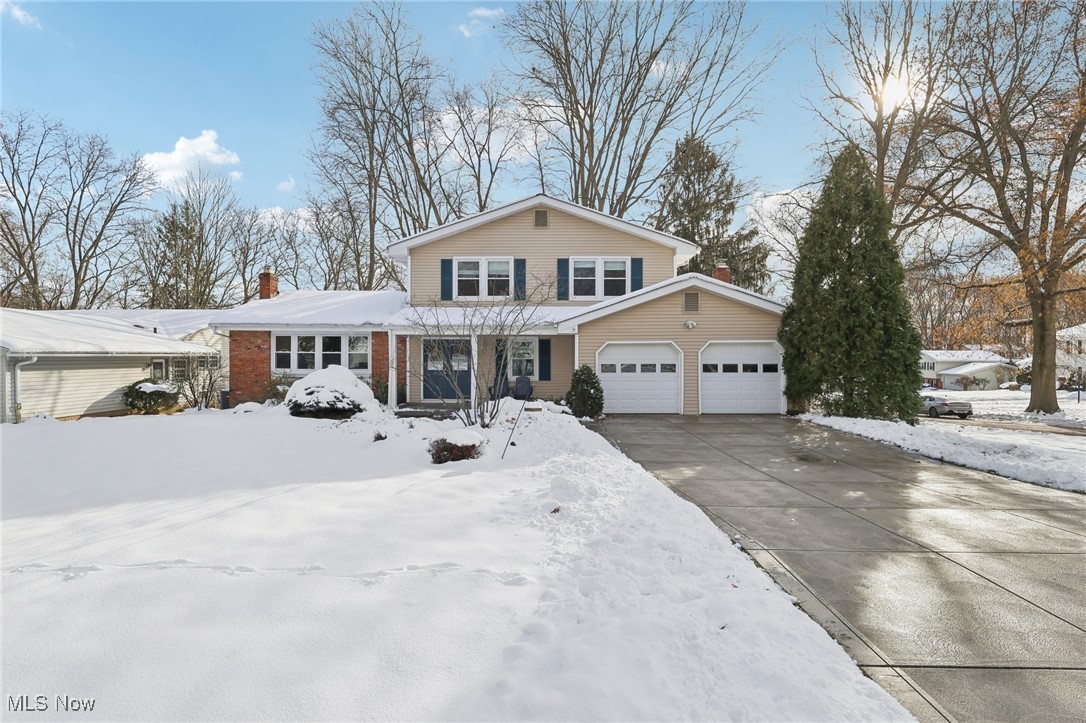 33630 Carriage Park Drive