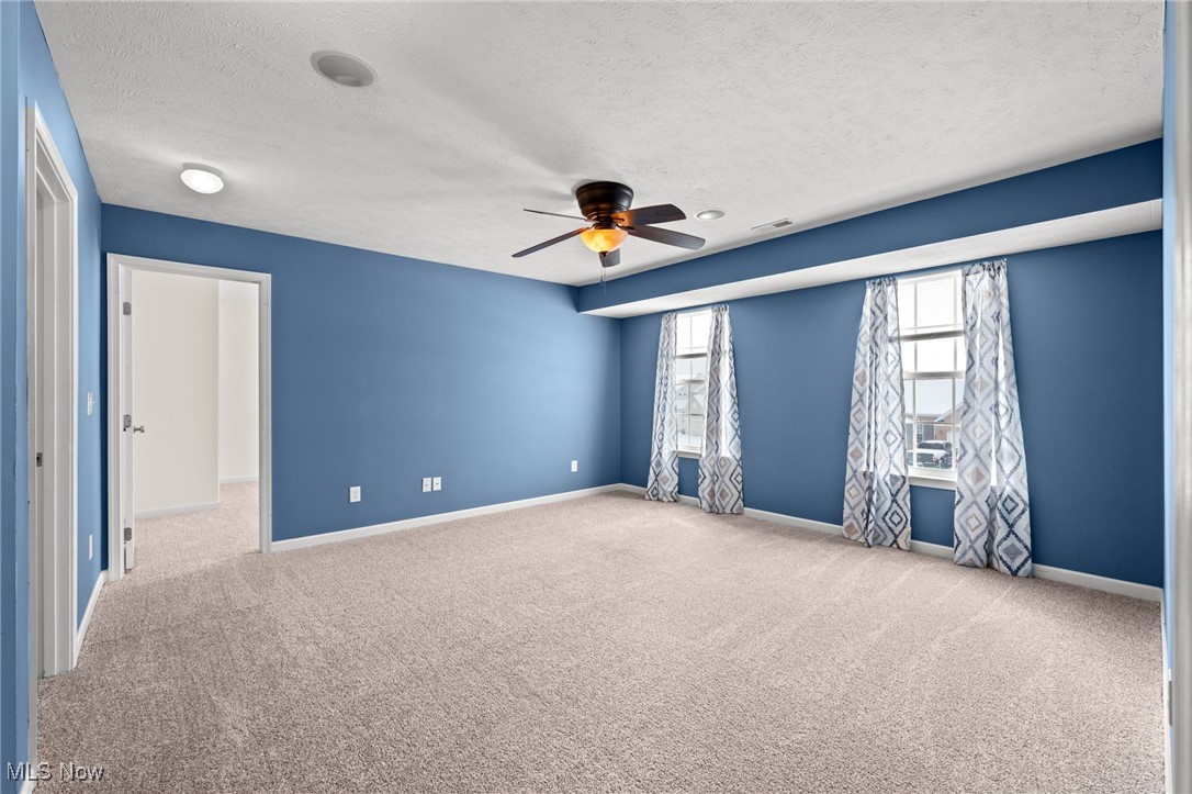 Vacant carpeted bedroom with blue walls, two curtained windows, and a ceiling fan.