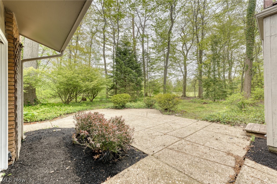 Paved patio beside a brick home, overlooking a landscaped wooded backyard.