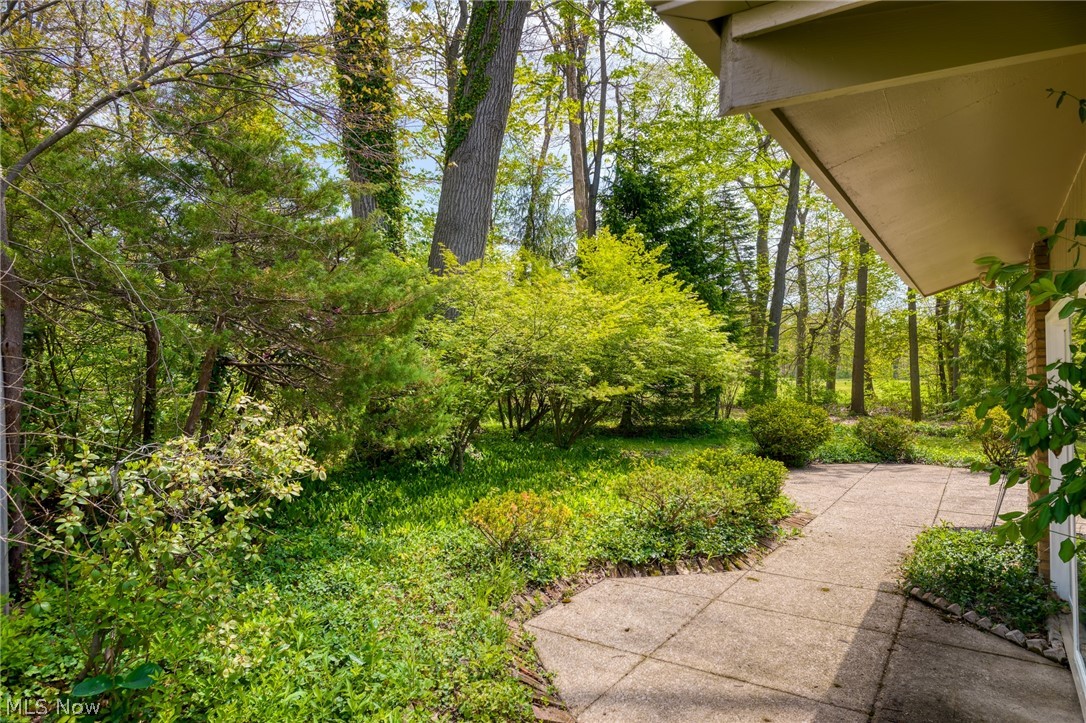 Paved patio and walkway bordered by lush shrubs beneath mature trees.