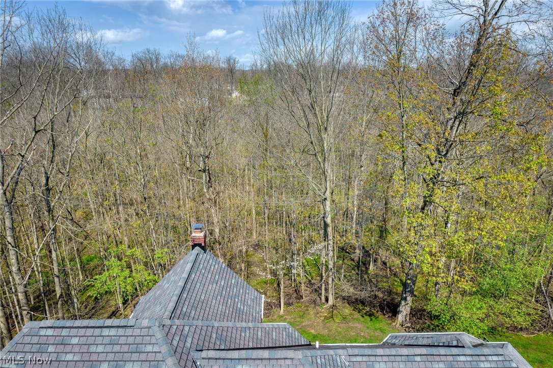 Elevated view over a home's roof toward a wooded backyard with mostly bare trees.