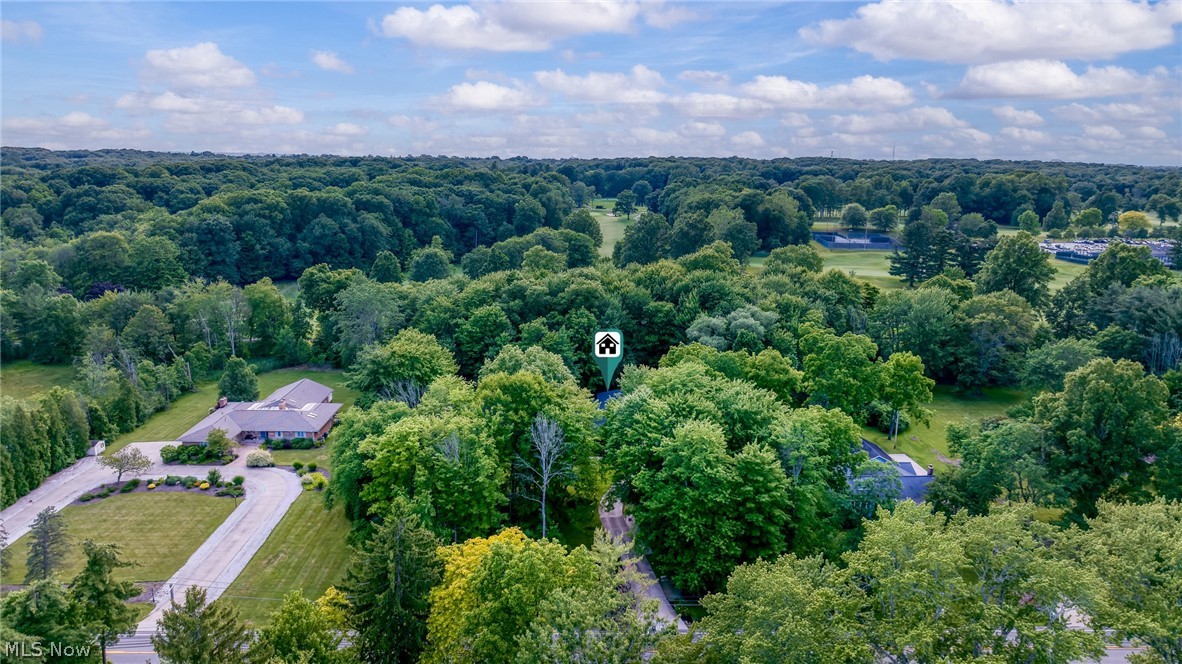 Aerial view of a wooded residential property with a long driveway and surrounding green space.