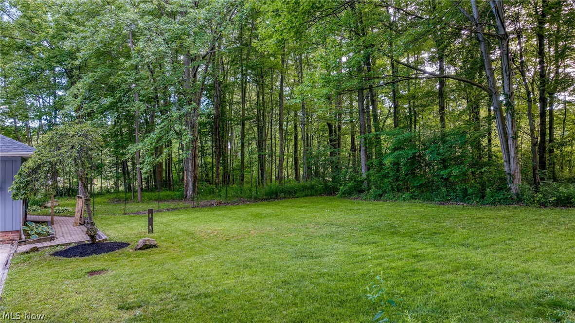 Backyard lawn bordered by mature woods, with a small patio and shed at the left.