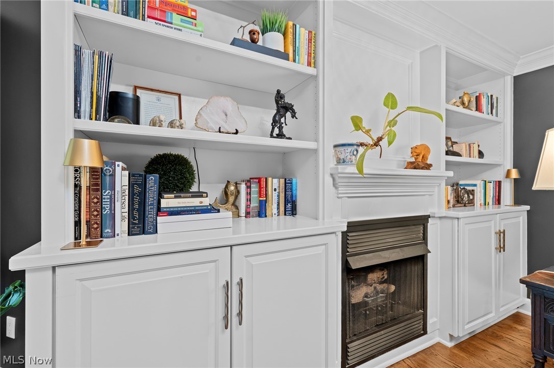 Living room built-ins with a fireplace, white bookcases, displayed books, and hardwood flooring.