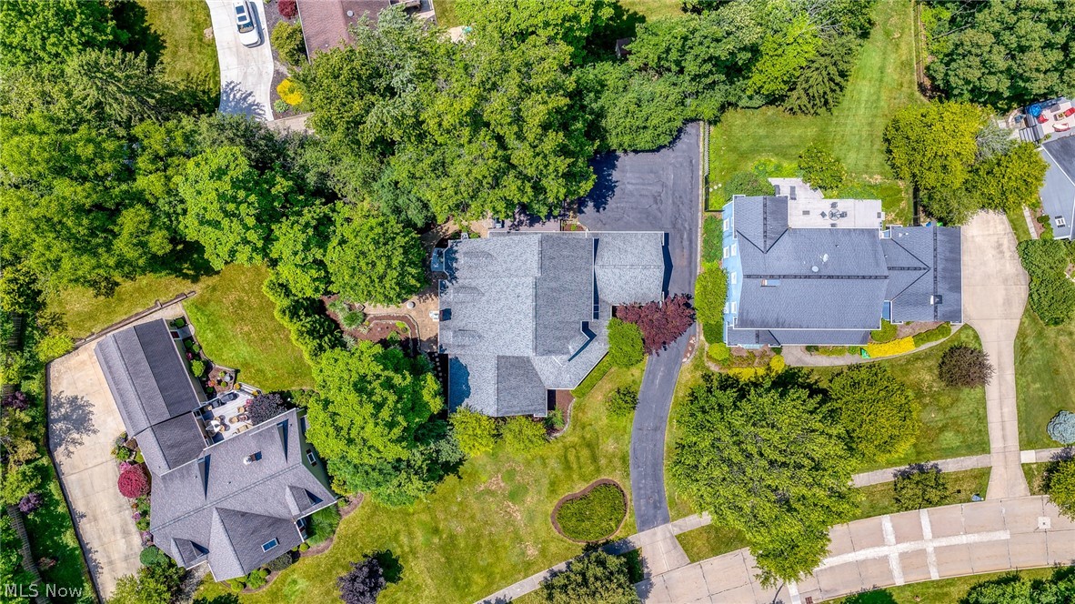 Aerial view of homes among mature trees, with landscaped lawns and a curving shared driveway.