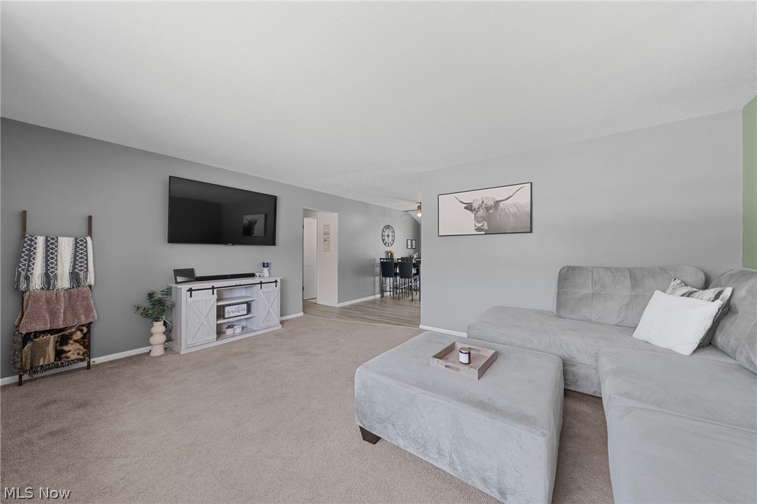 9011 Roedean Drive