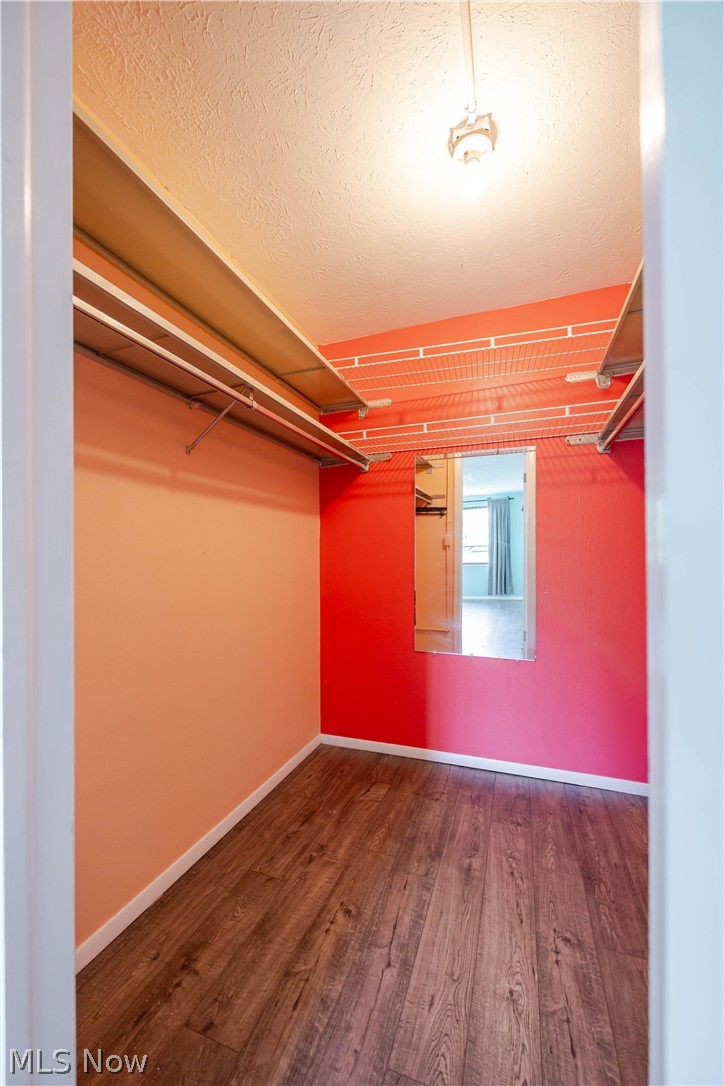Walk-in closet with overhead wire shelving, a mirror, and wood-look flooring.