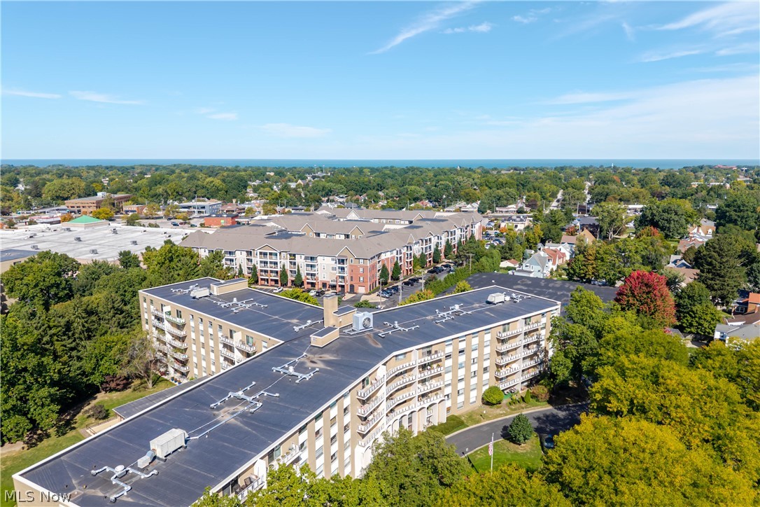 Aerial view of condominium buildings amid trees, with Lake Erie visible on the horizon.