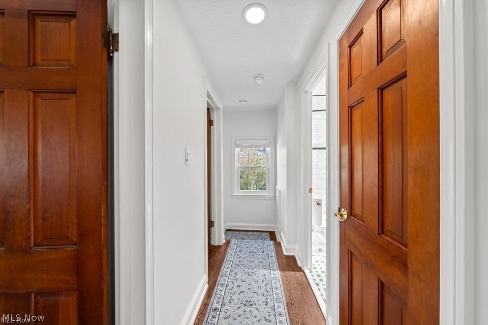 Bright hallway with hardwood floors, a patterned runner, and rich wood-paneled doors.