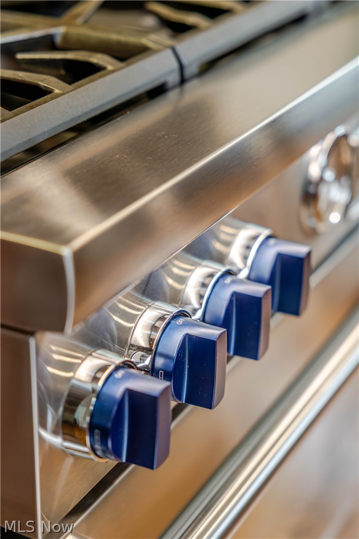 Stainless-steel gas range with blue control knobs and cast-iron burner grates.