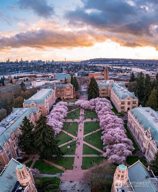 919 23rd Avenue E Unit: A