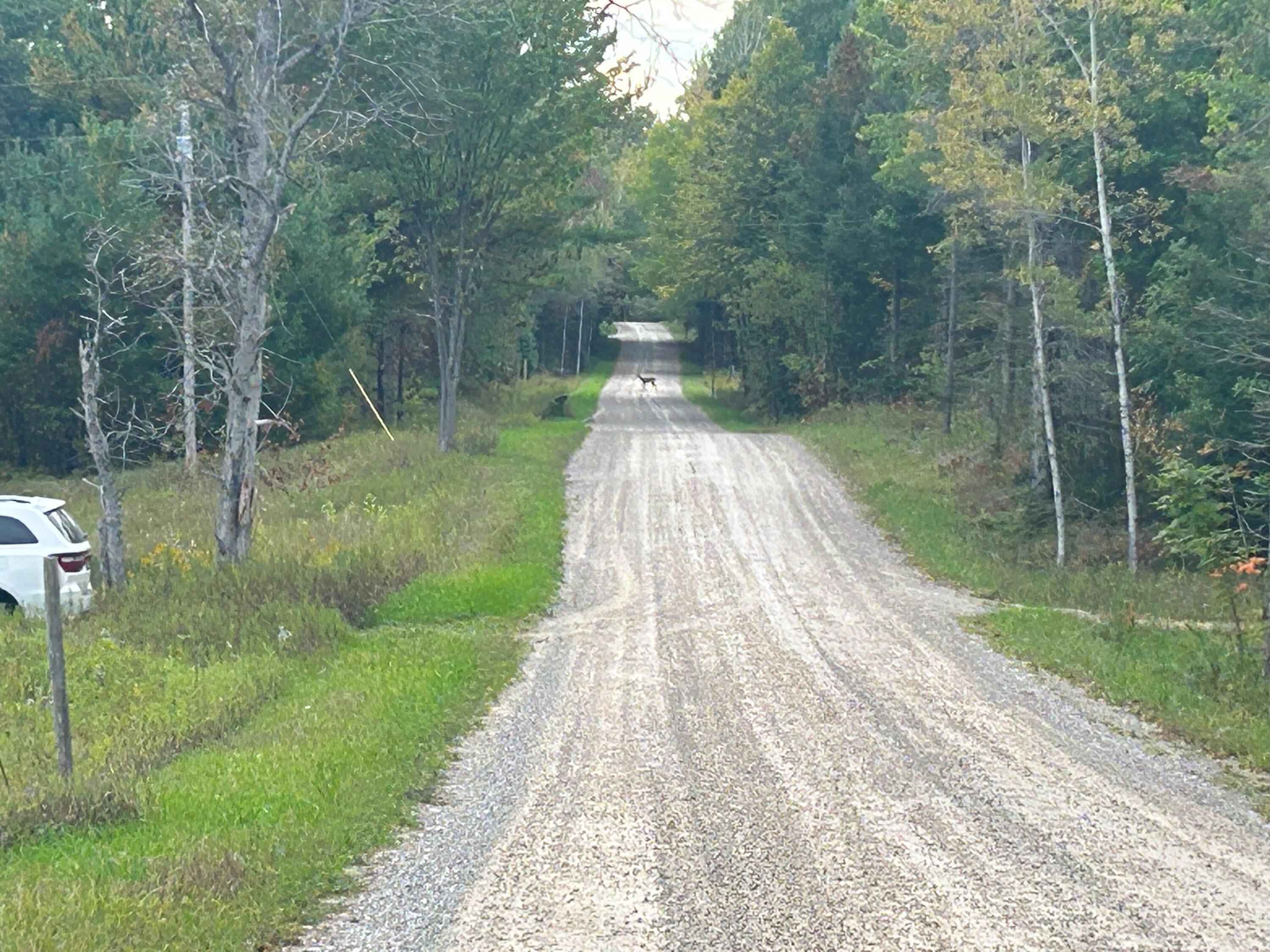 9260 Fitzpatrick Road