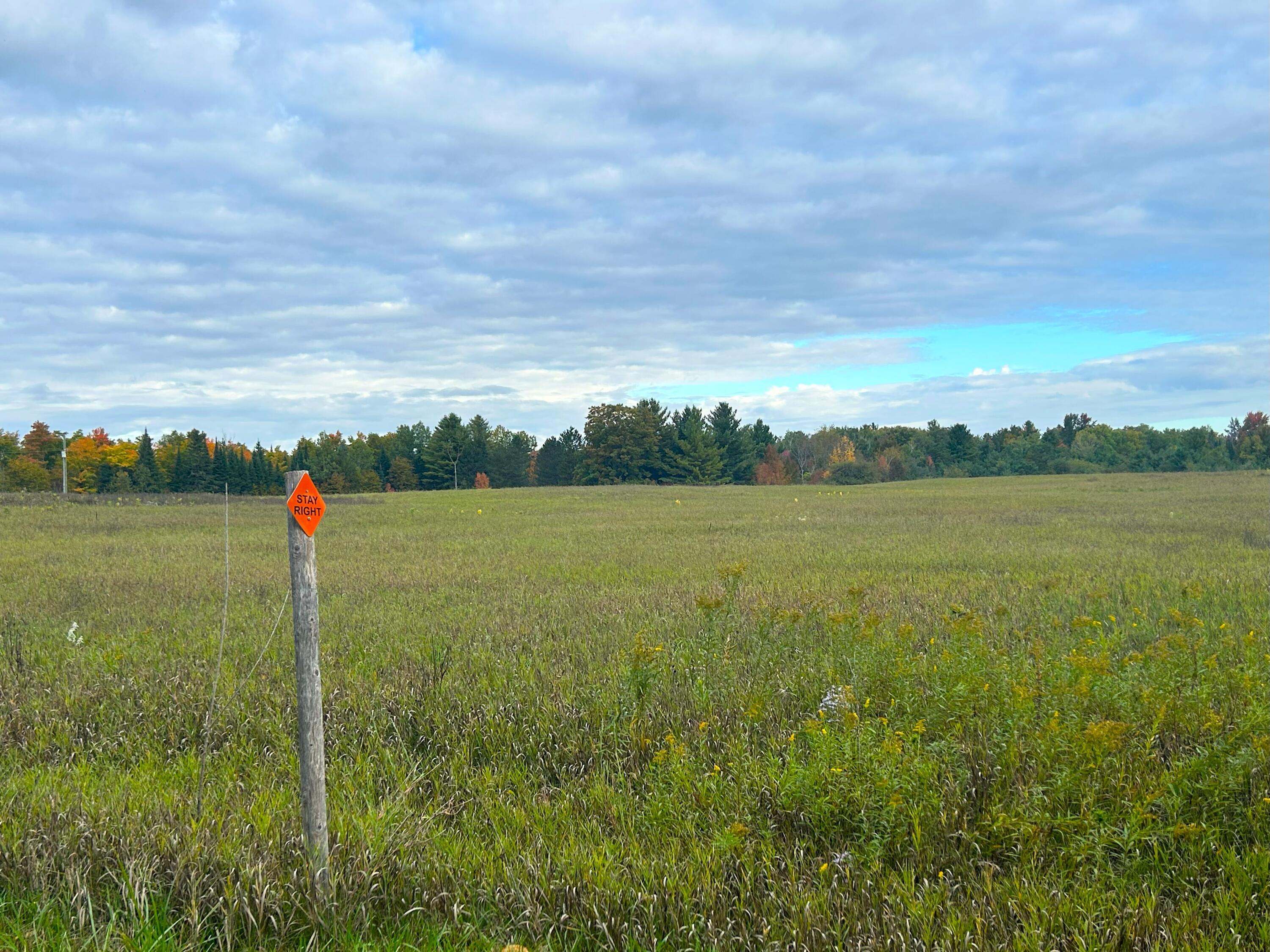 9260 Fitzpatrick Road