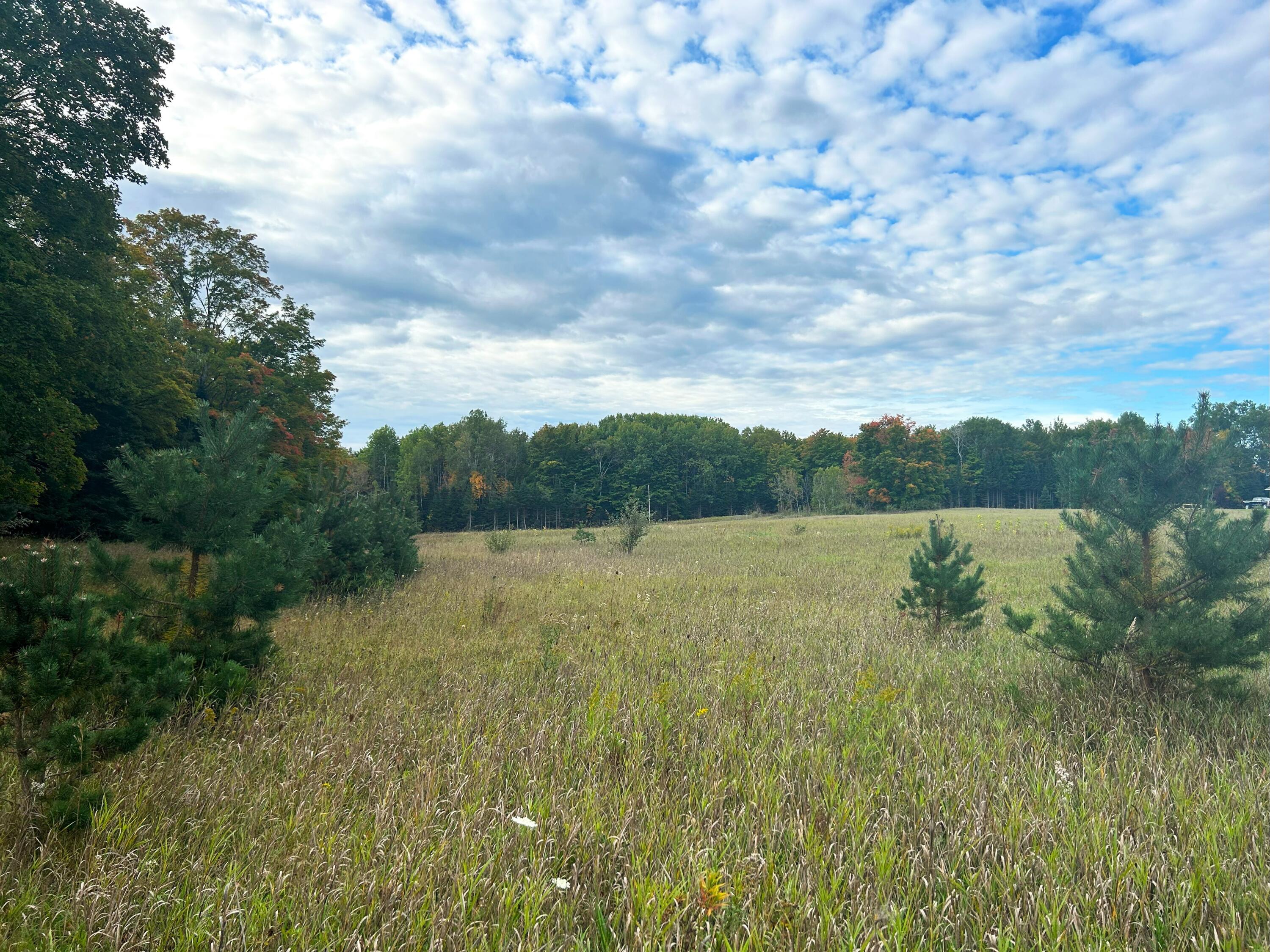 9260 Fitzpatrick Road