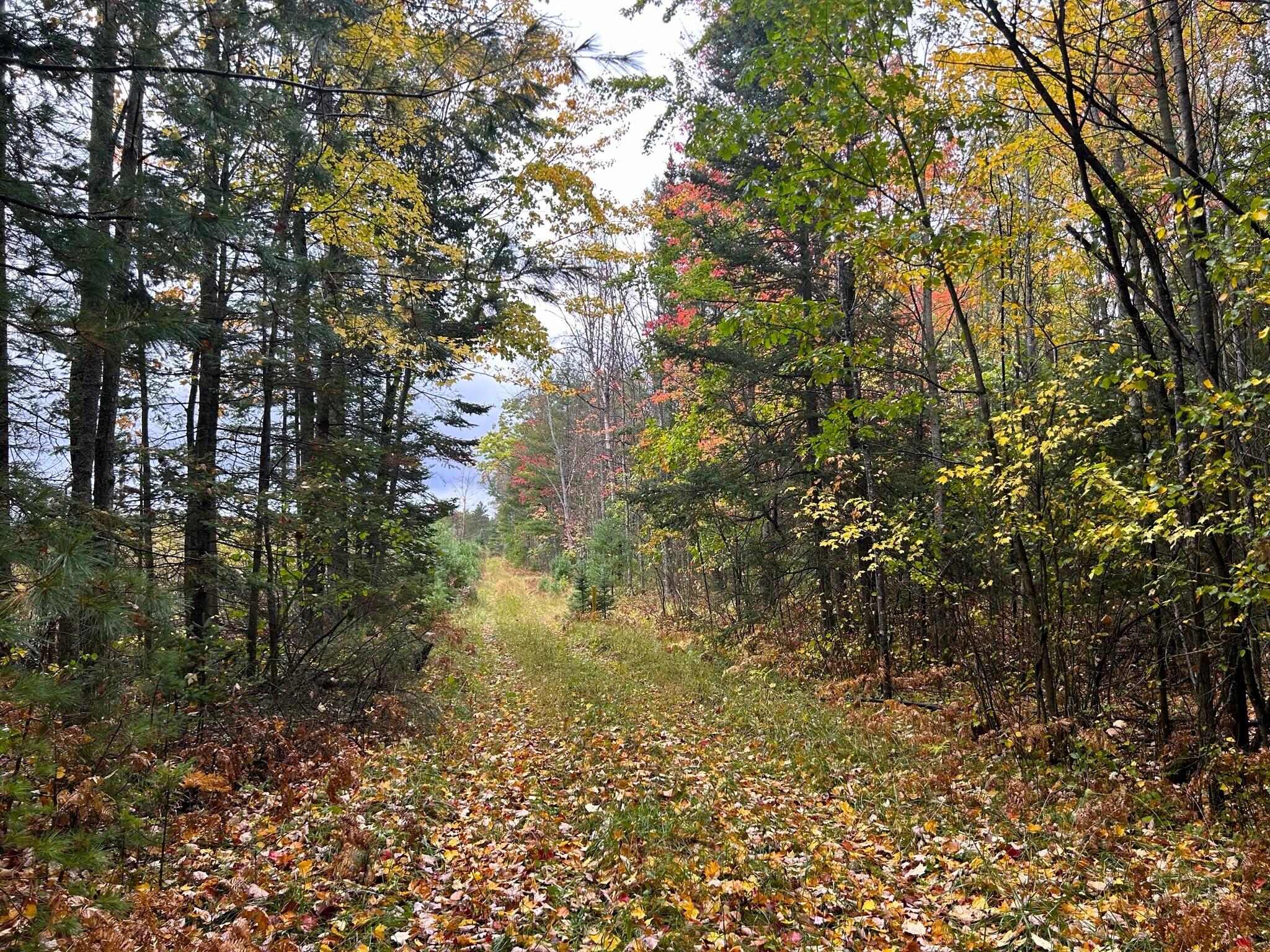 16955 Brush Creek Truck Trail