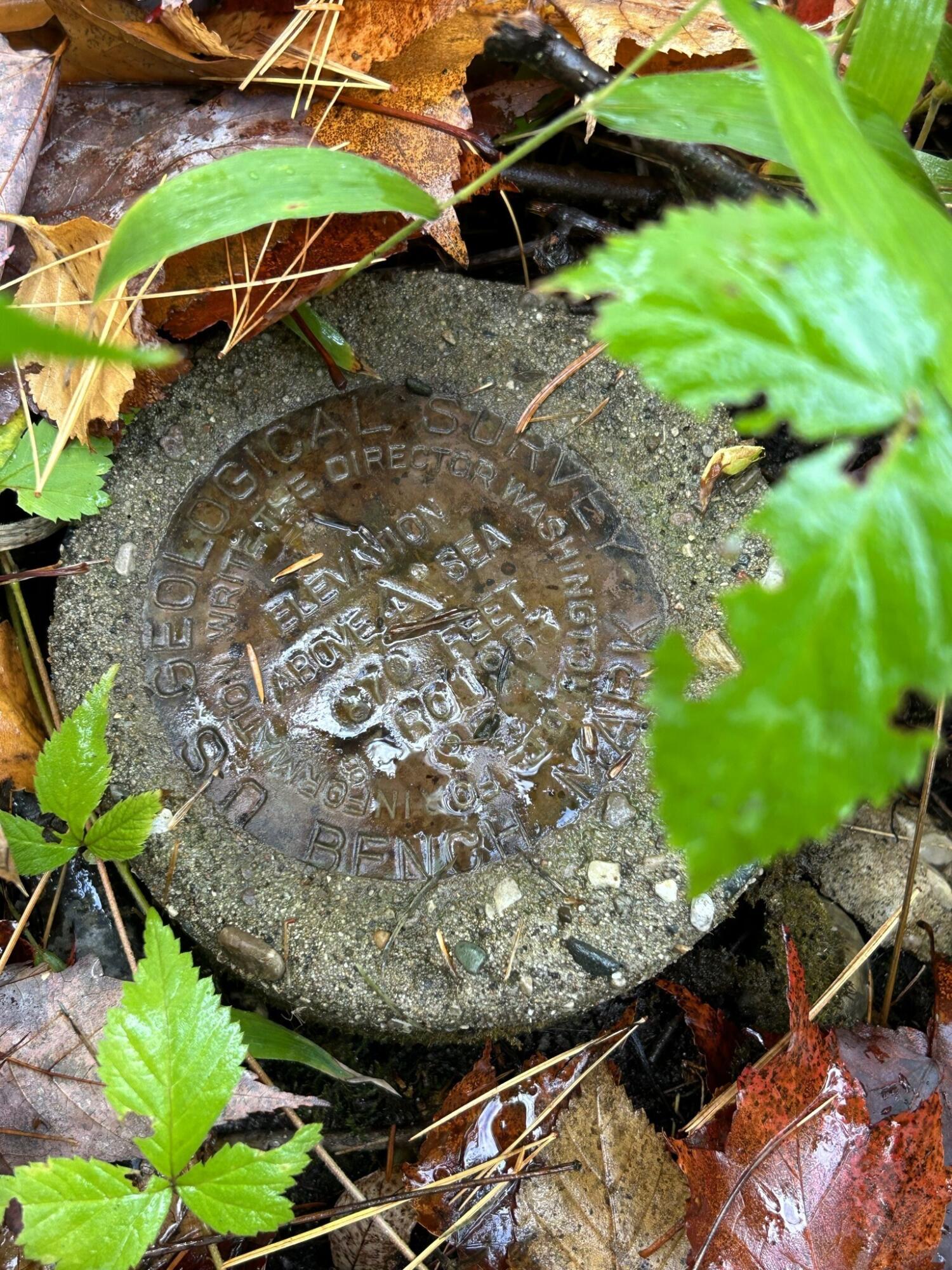 16955 Brush Creek Truck Trail