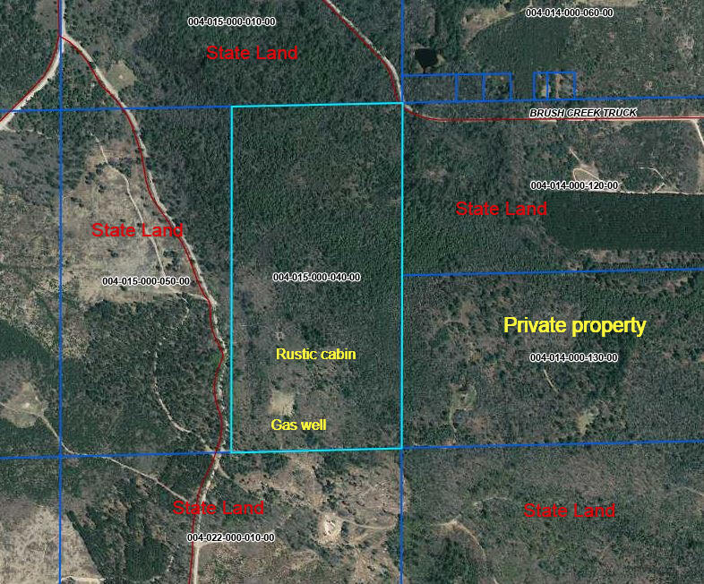 16955 Brush Creek Truck Trail