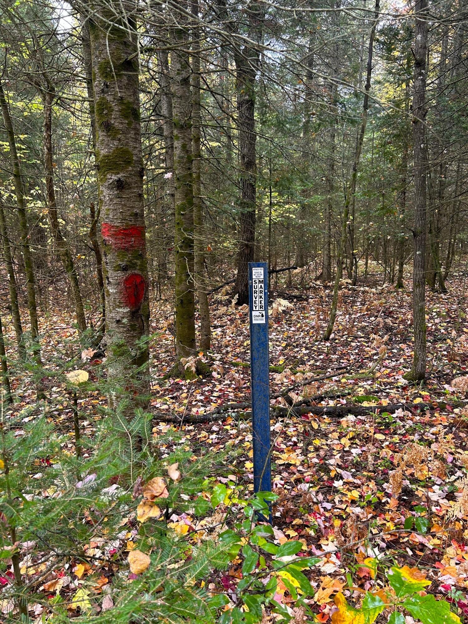 16955 Brush Creek Truck Trail