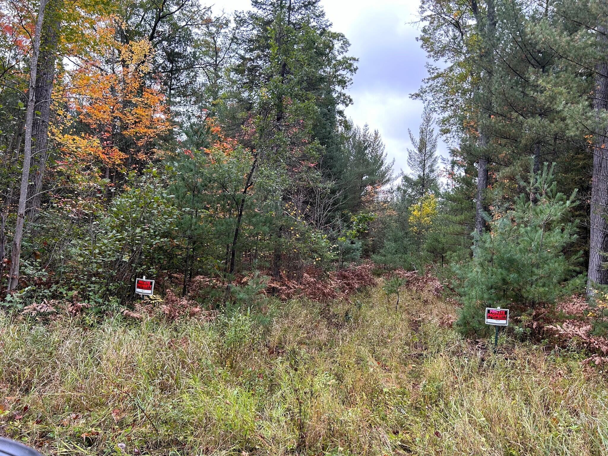 16955 Brush Creek Truck Trail