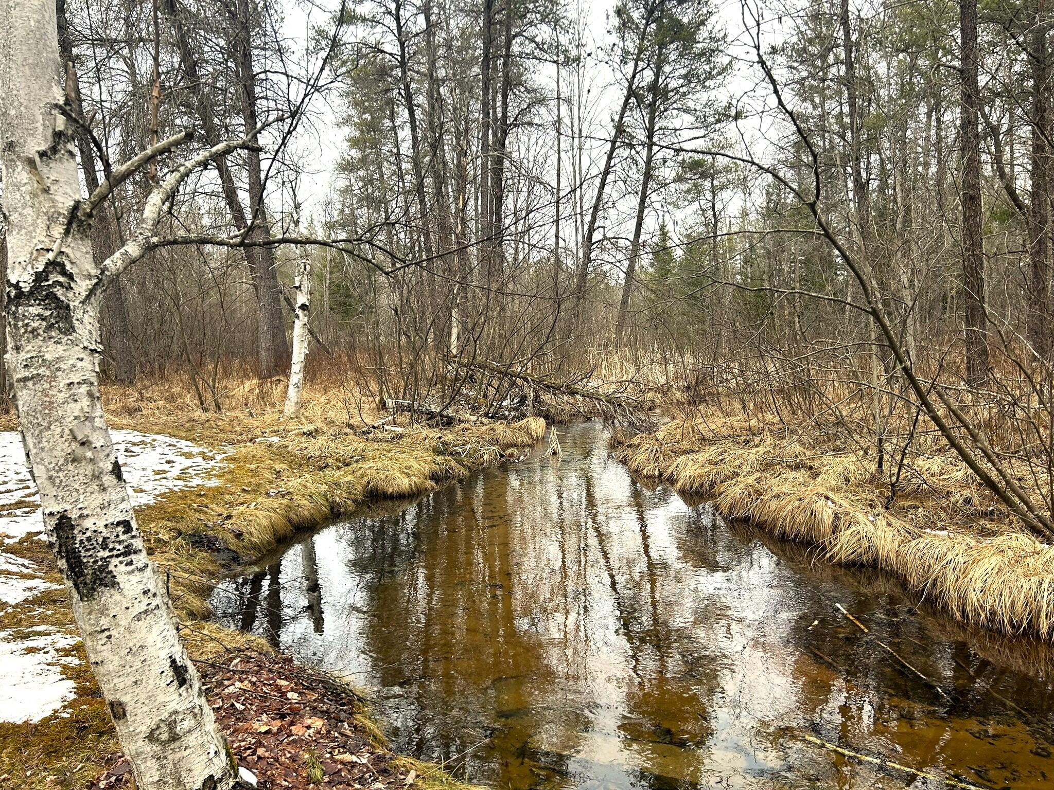 20281 Zimmerman Road