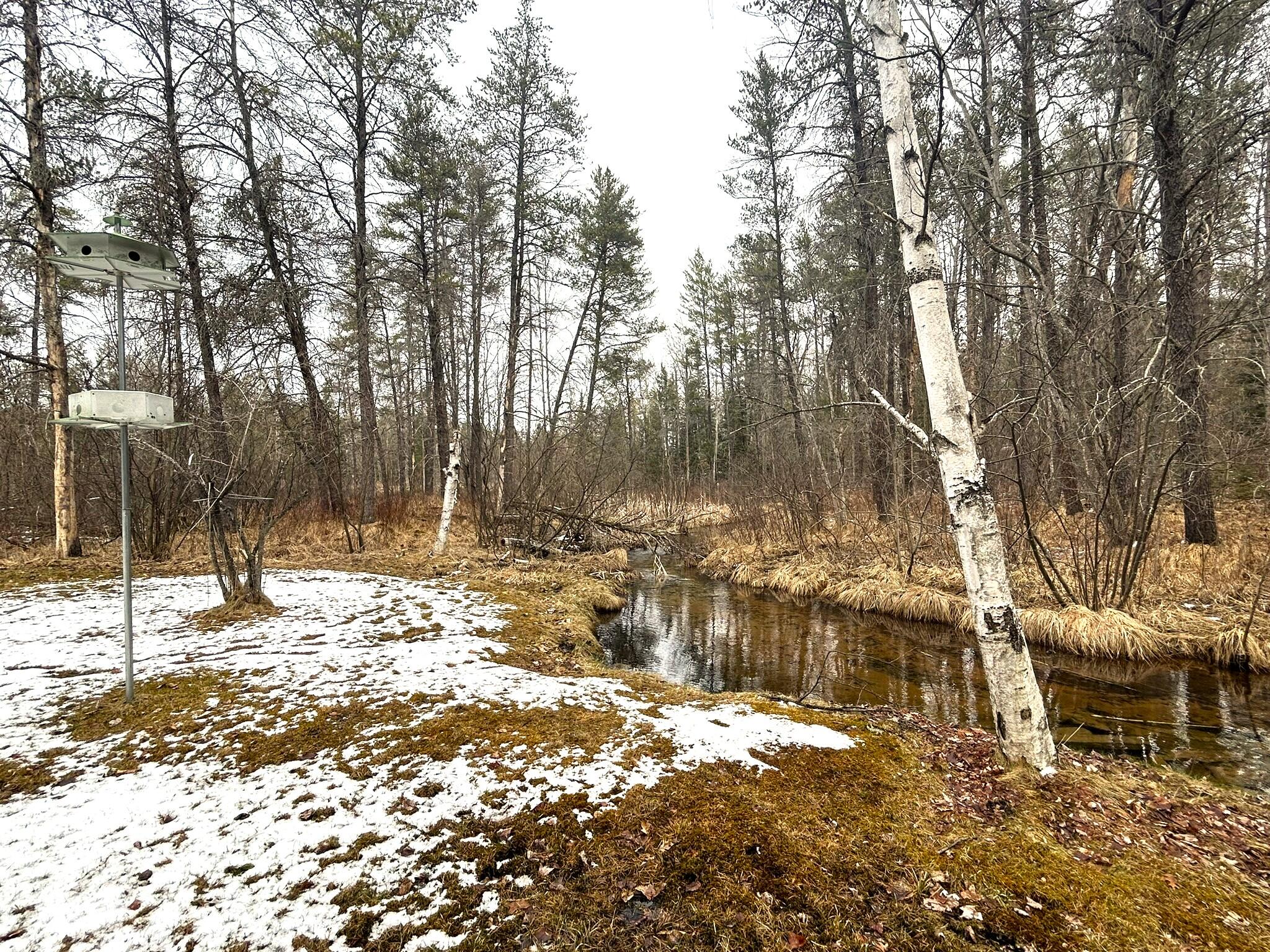 20281 Zimmerman Road