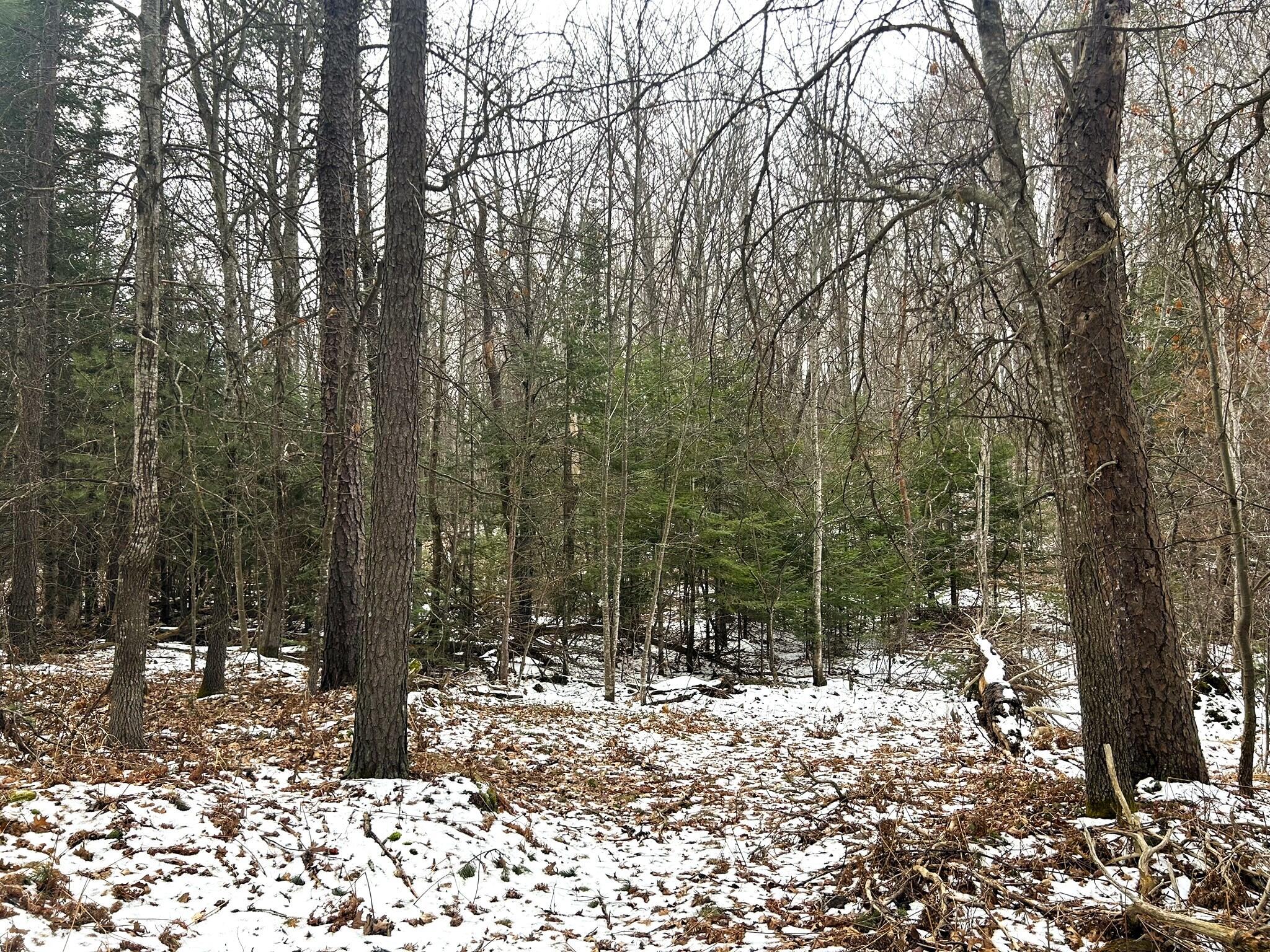 20281 Zimmerman Road