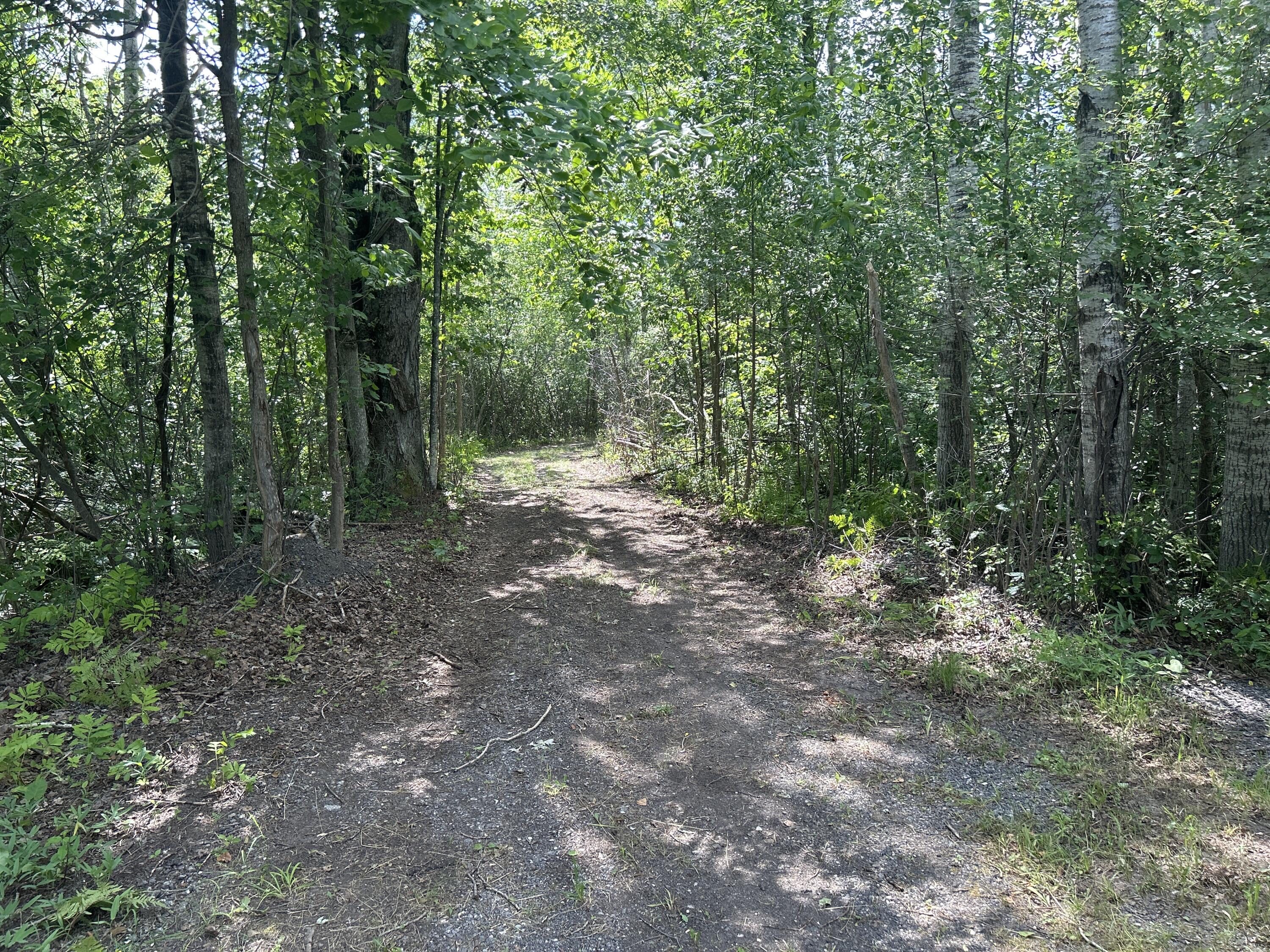Salina Road, 40 Acres