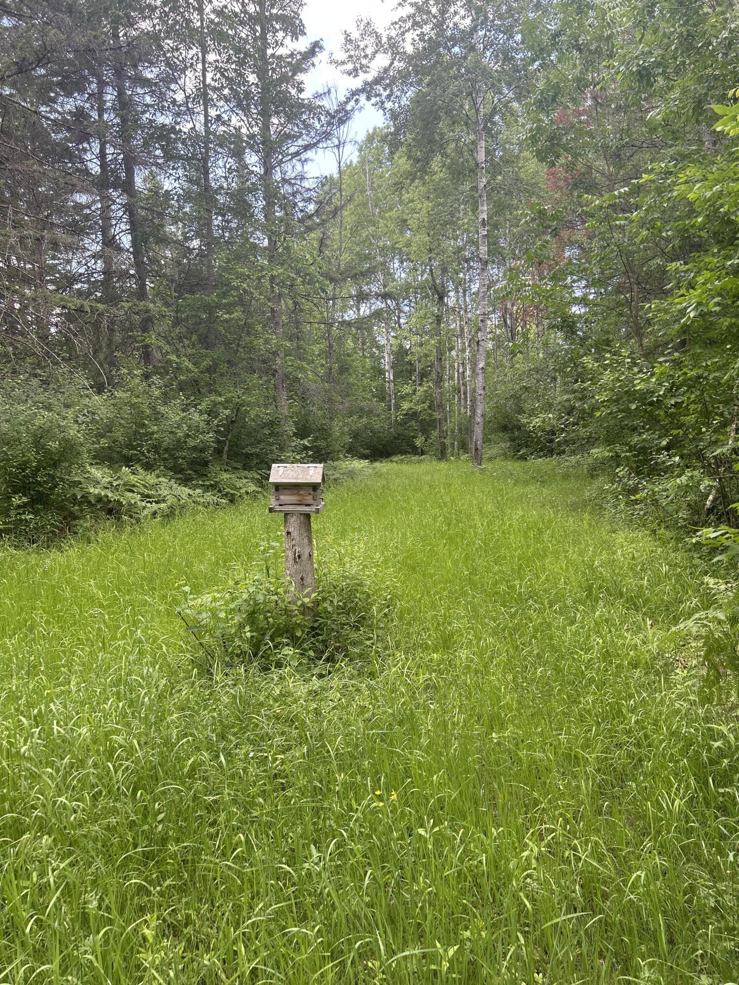 Salina Road, 40 Acres