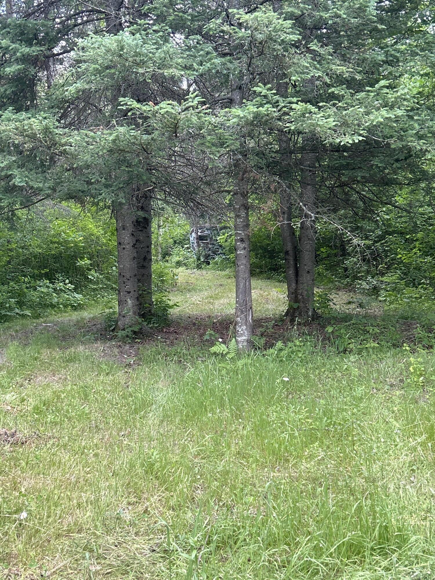 Salina Road, 40 Acres