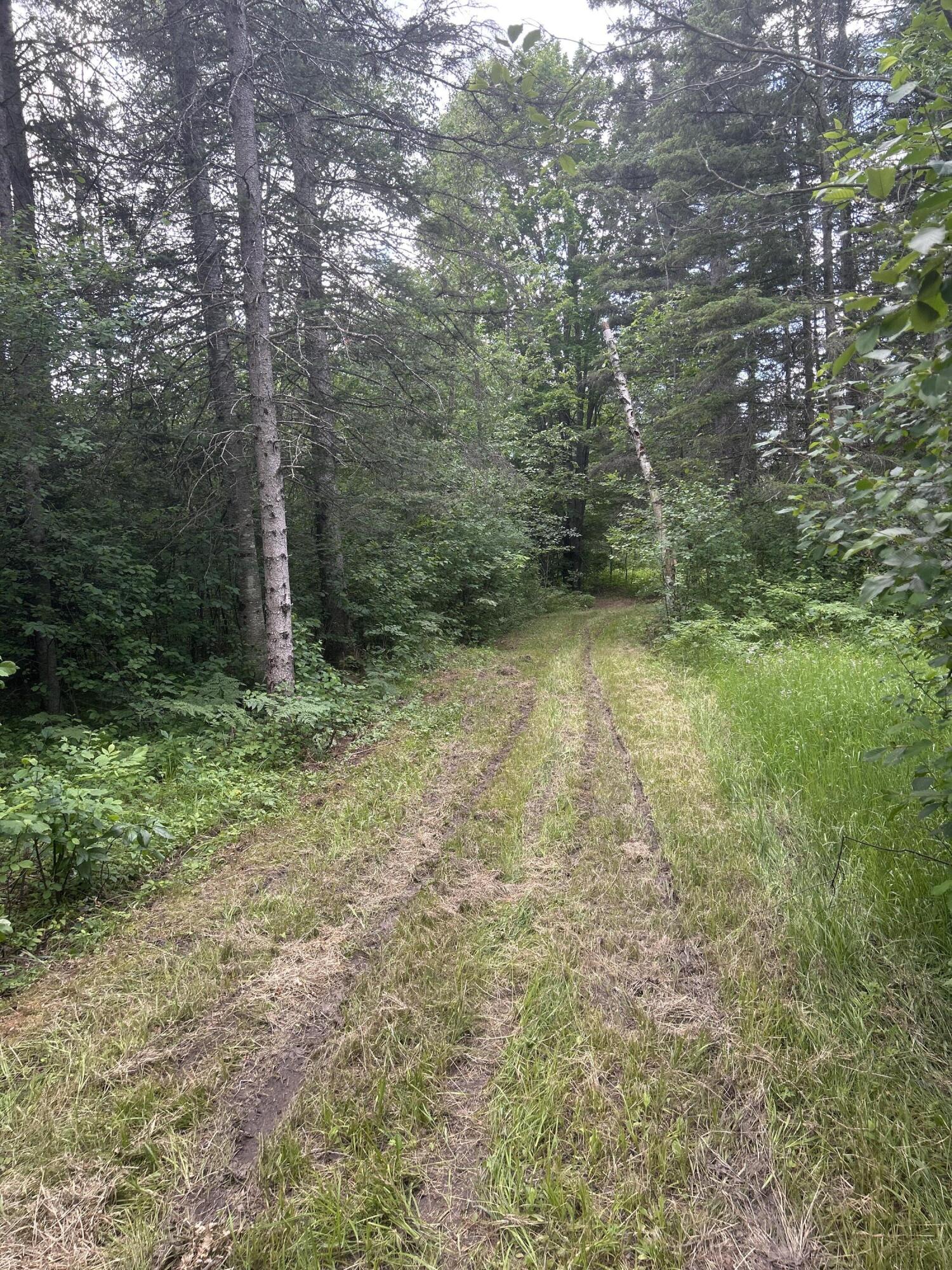 Salina Road, 40 Acres