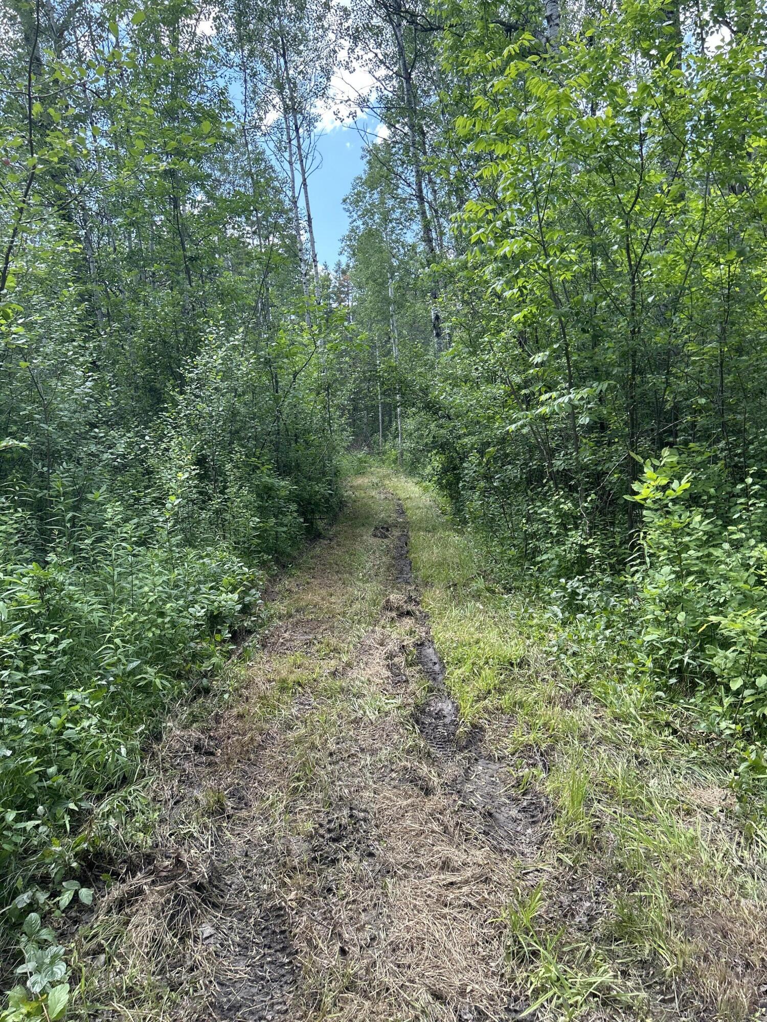 Salina Road, 40 Acres