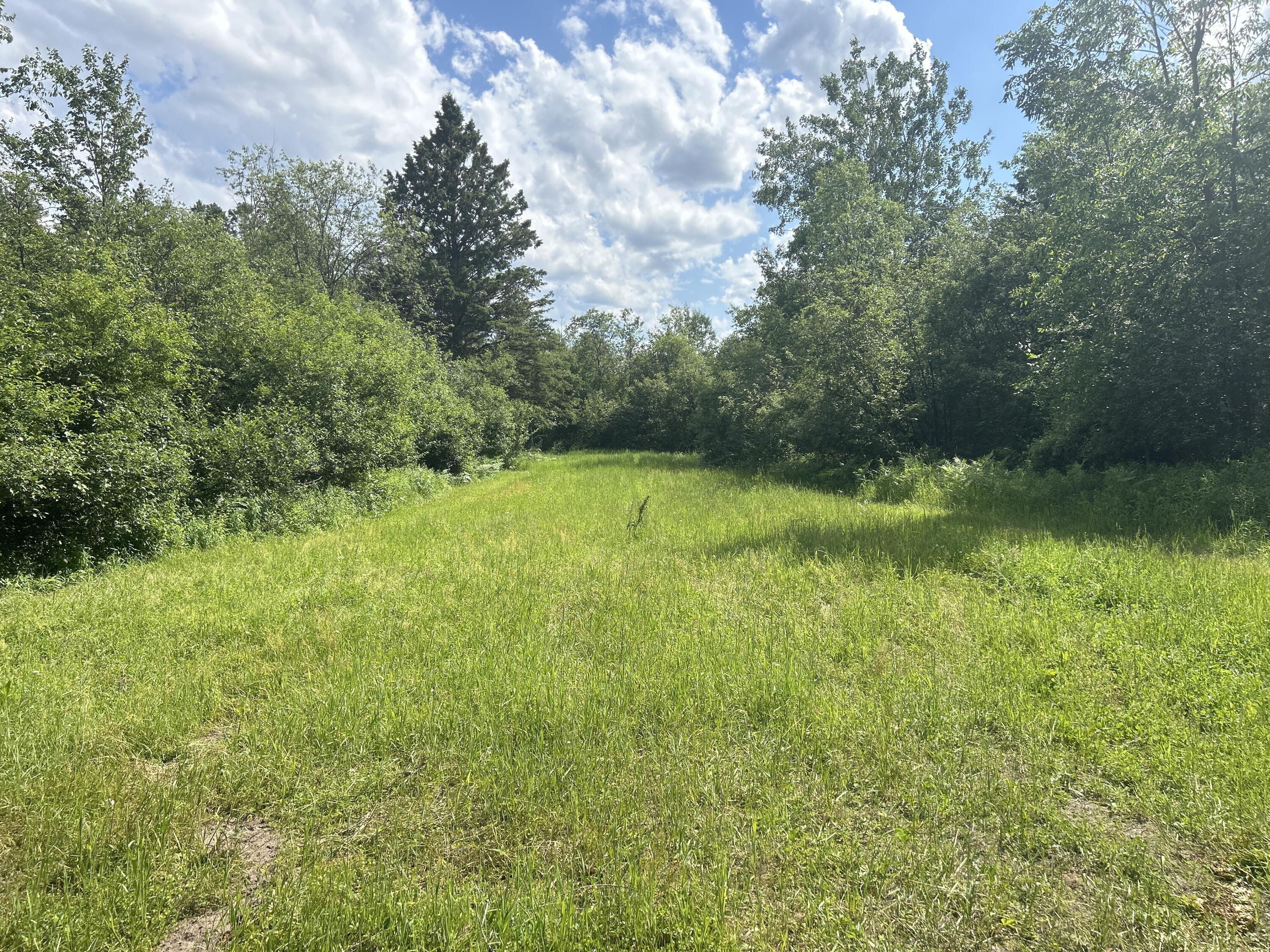 Salina Road, 40 Acres