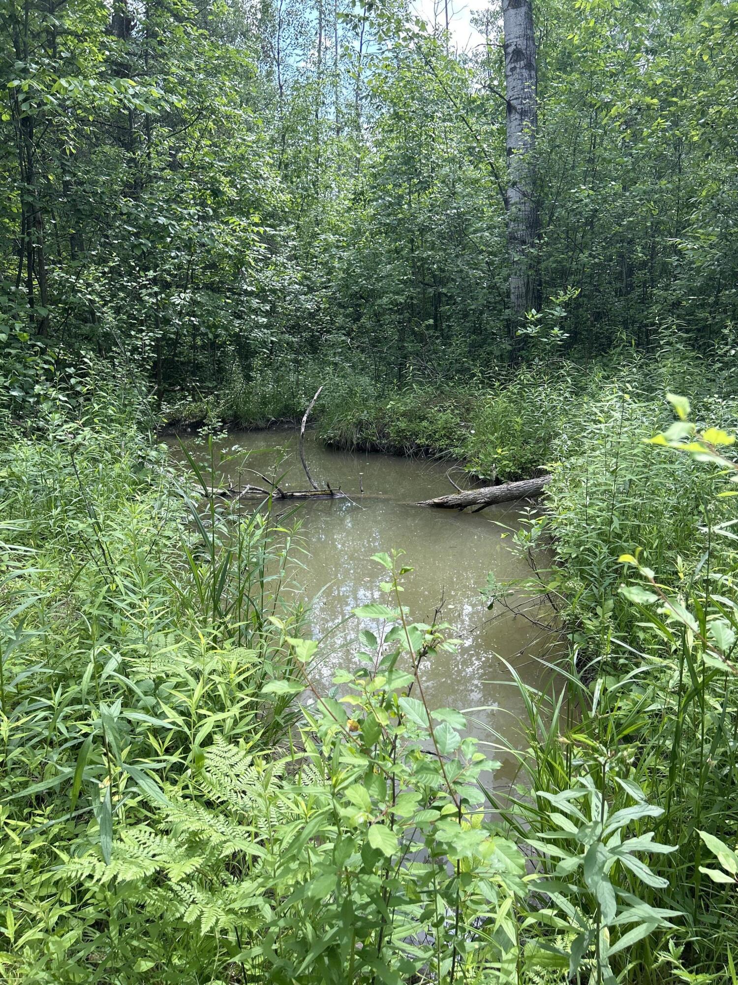 Salina Road, 40 Acres