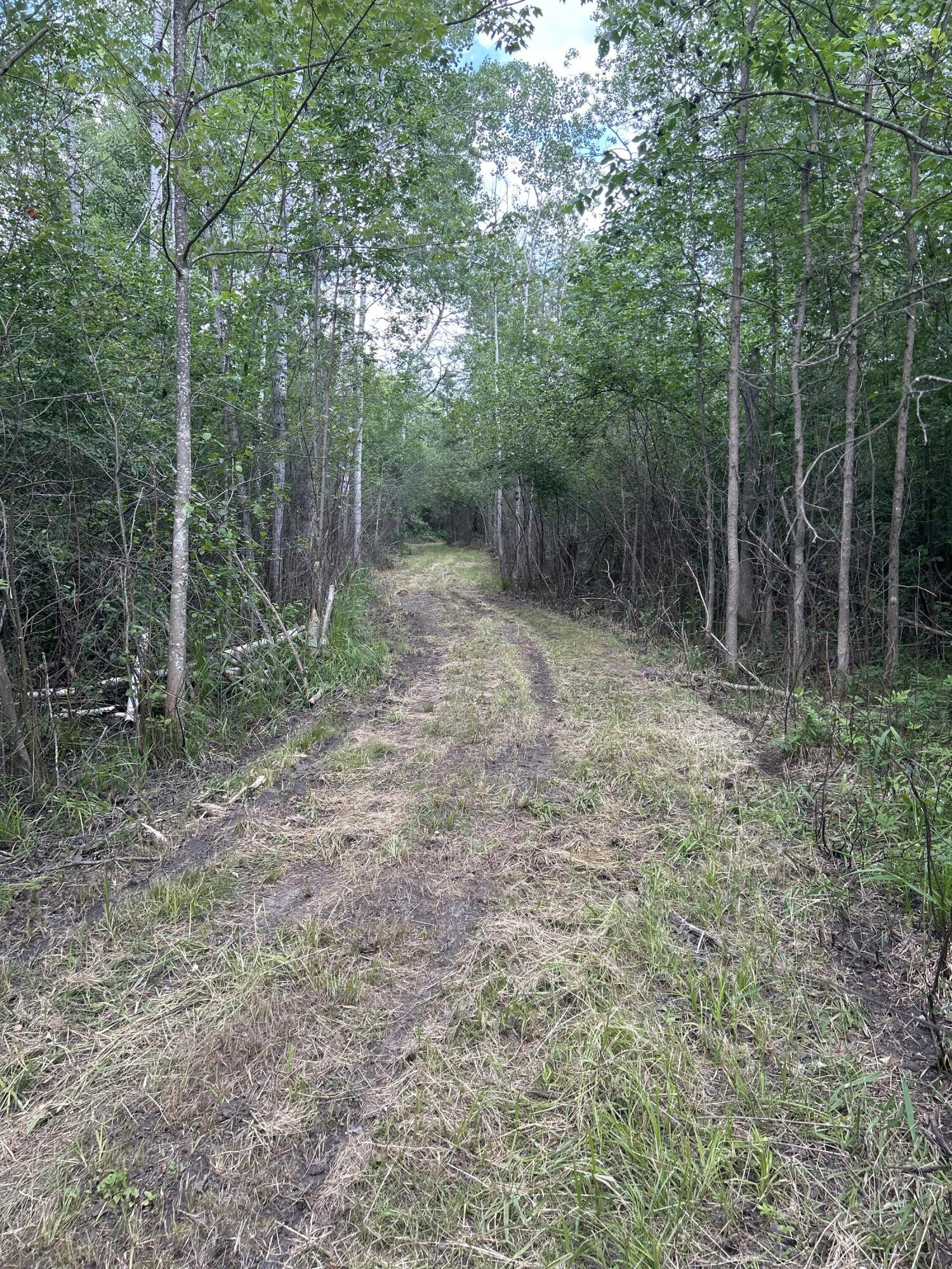 Salina Road, 40 Acres