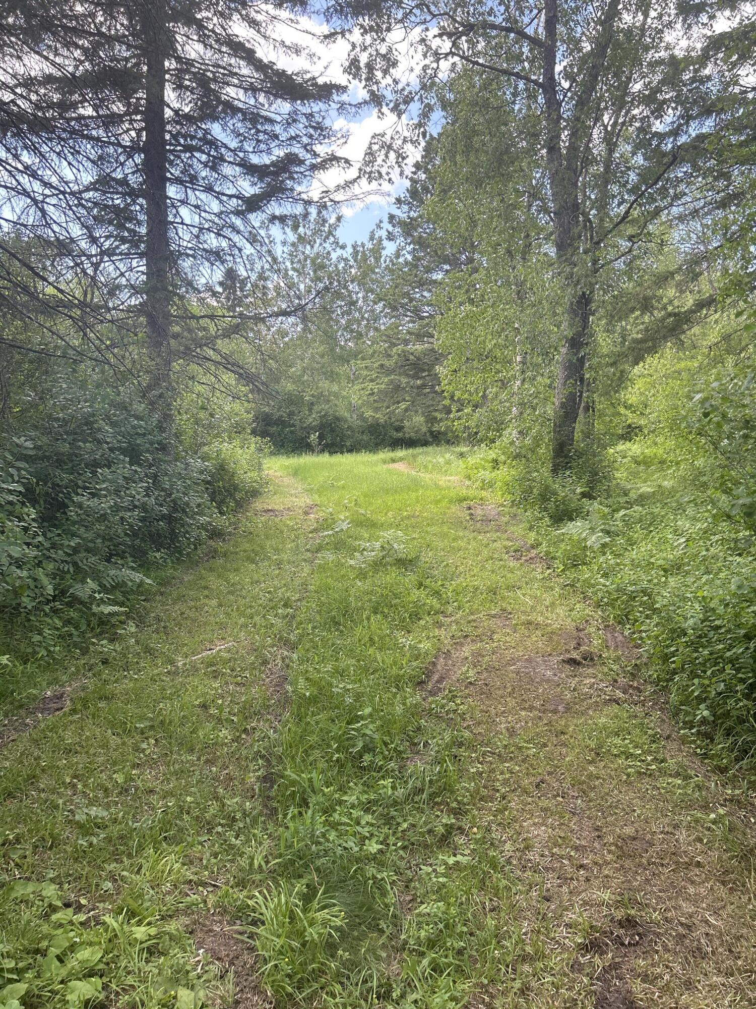 Salina Road, 40 Acres