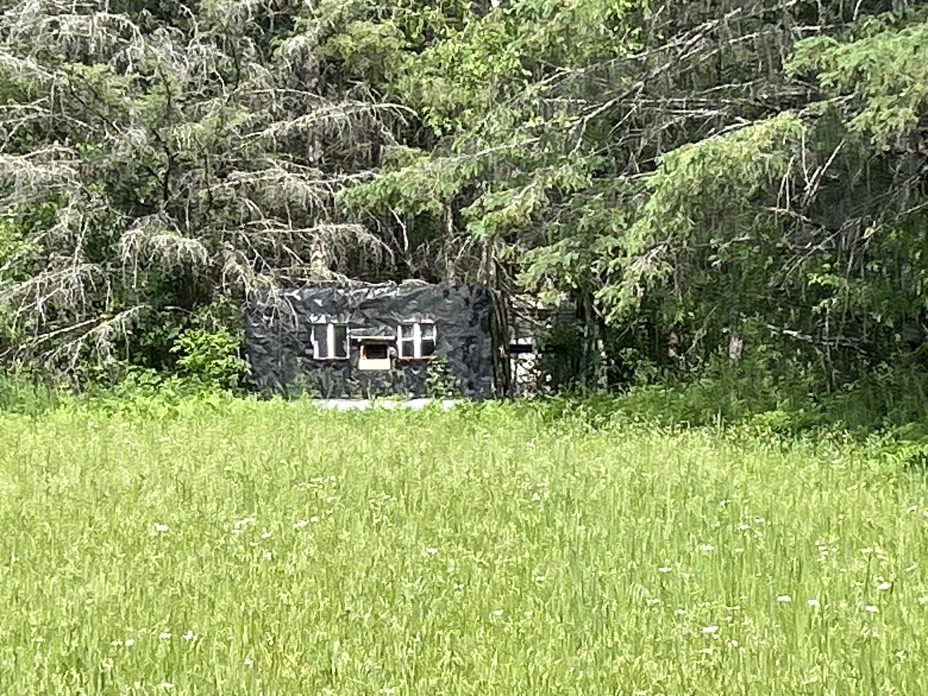 Salina Road, 40 Acres