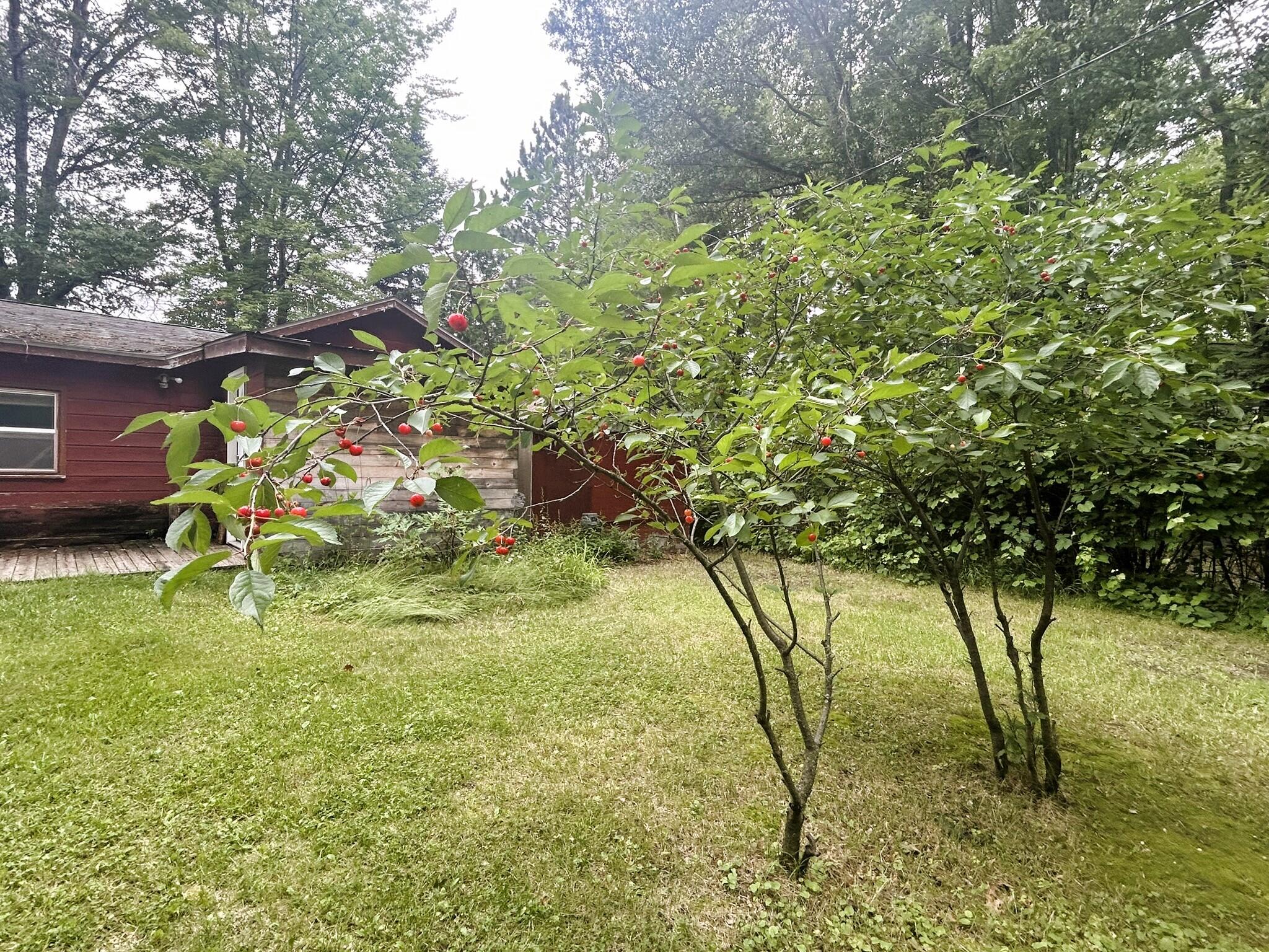 16046 Hiawatha Trail