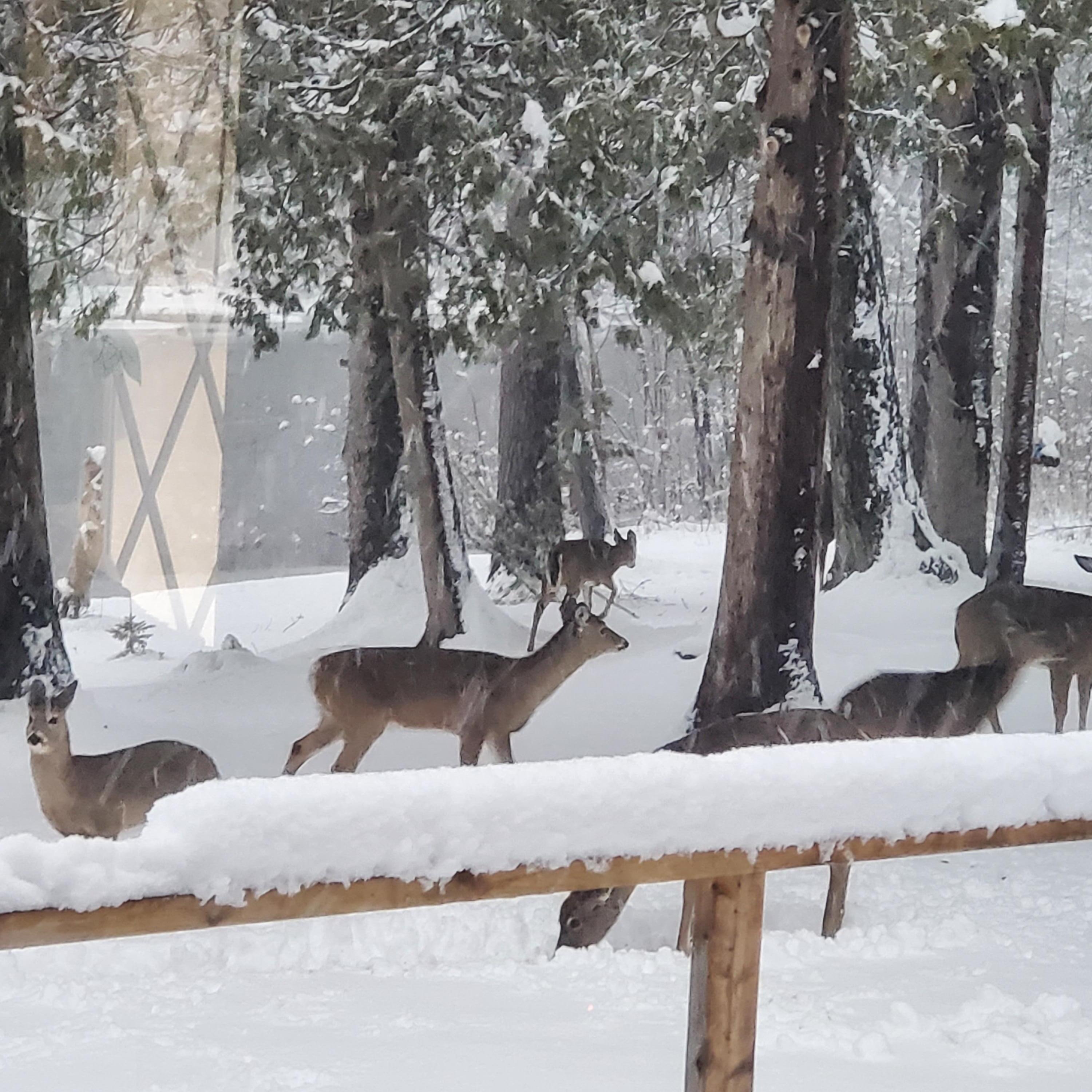 4700 Indian Reserve Road