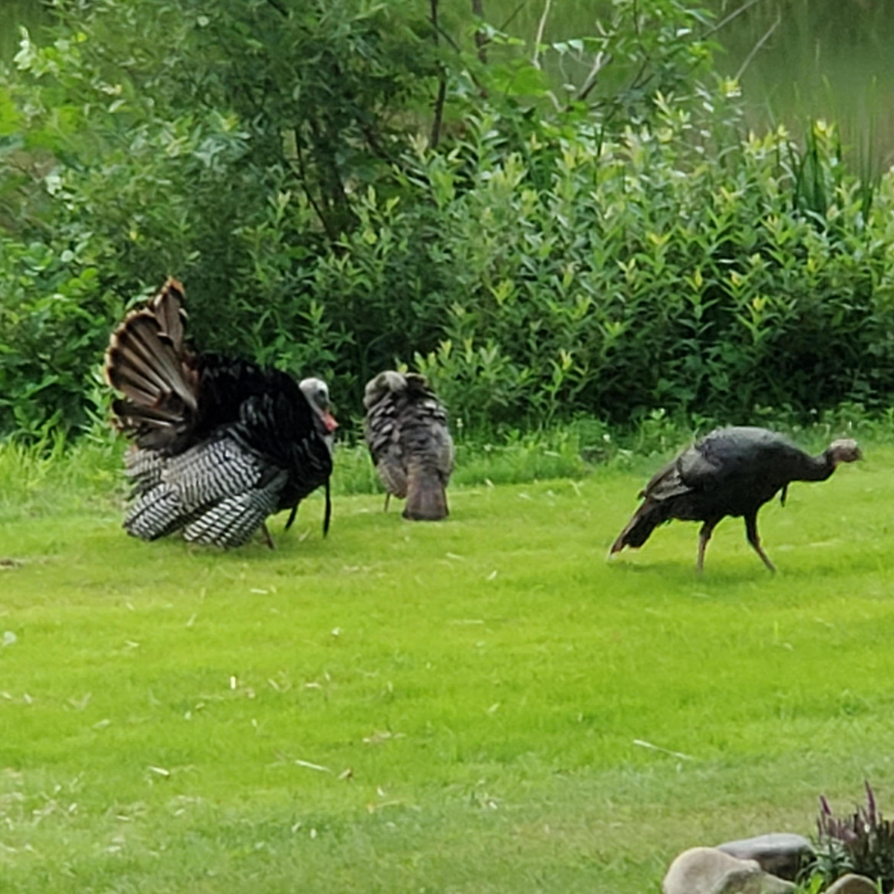 4700 Indian Reserve Road