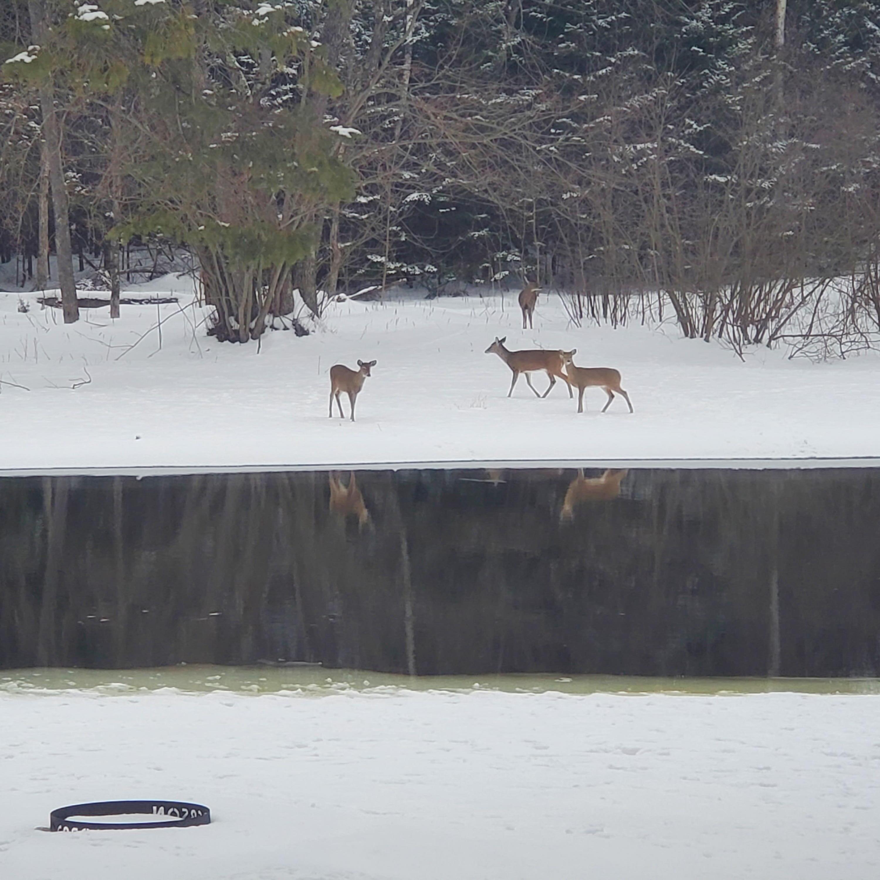 4700 Indian Reserve Road